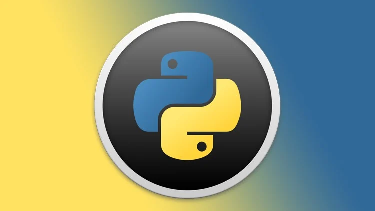 Python для начинающих